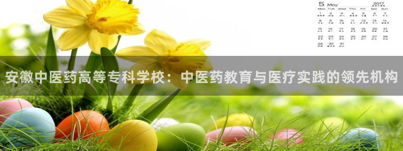 九游会是什么组织