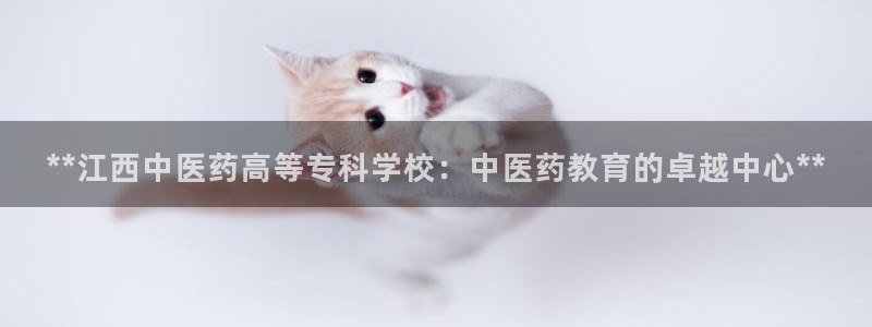 九游会平台怎么样