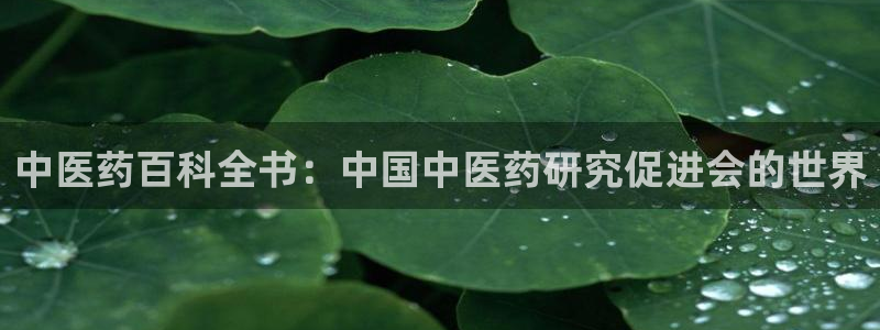 j9九游会首页入口