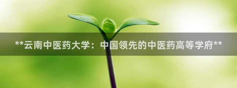 j9九游会app下载