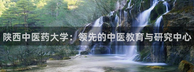 九游j9打不开