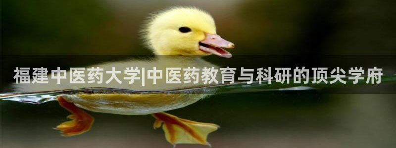 九游会国际站