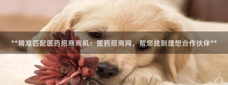 九游会在线登录