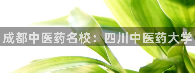 九游会官