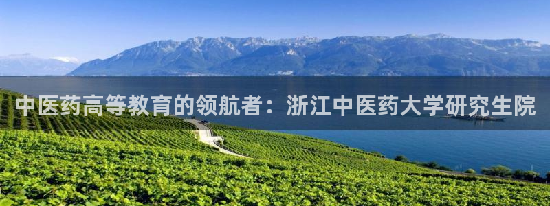 九游会官网ag旧版