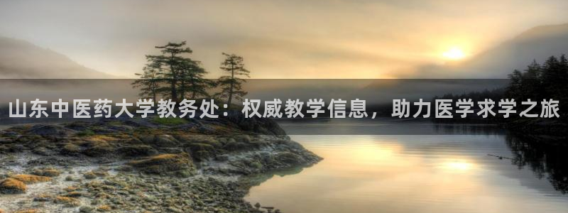 j9官网平台