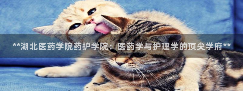 九游会app下载版官网正版