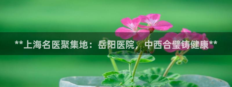 J9九游会老哥