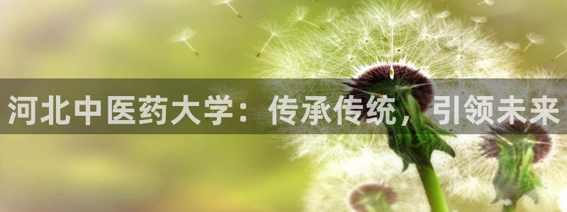 ag变成九游会