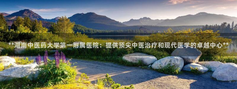 九游会官网app下载