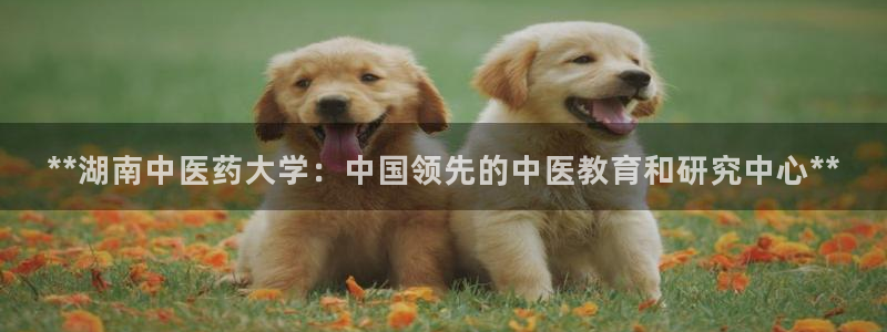 j9九游会老哥俱乐部联系方式