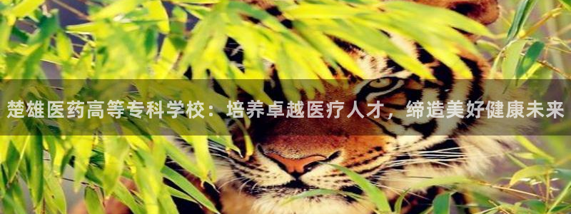 九游会网址是多少
