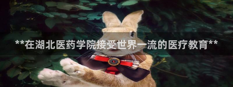九游会集团网址