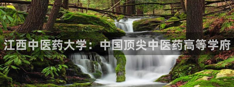 九游会吧