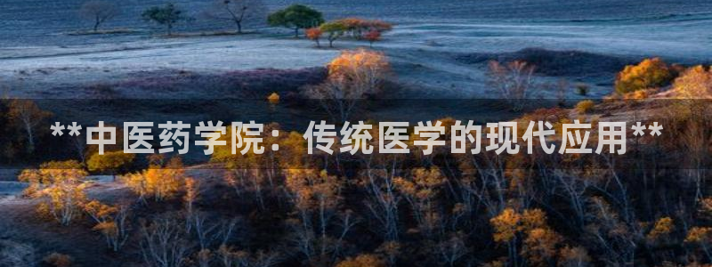 ag久游