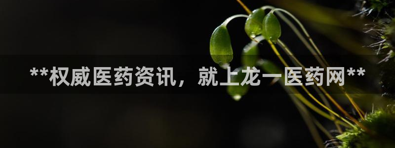j9九游会真人第一品牌