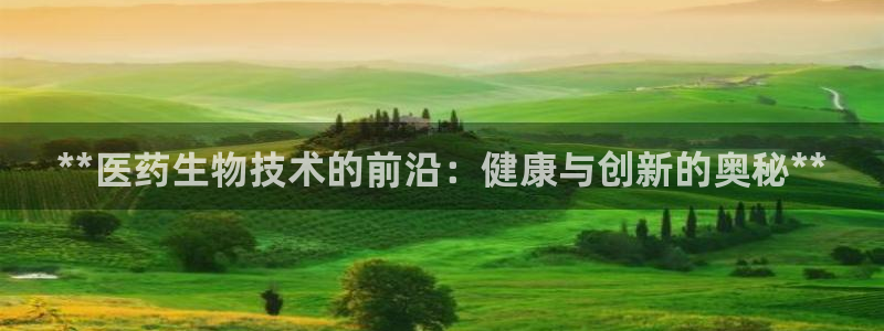 ag久游