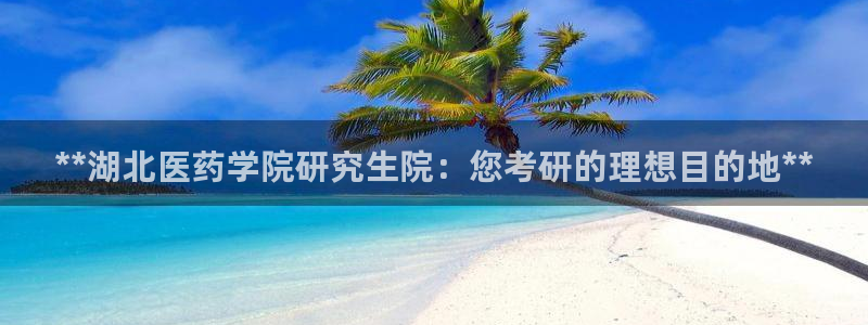 九游j9会