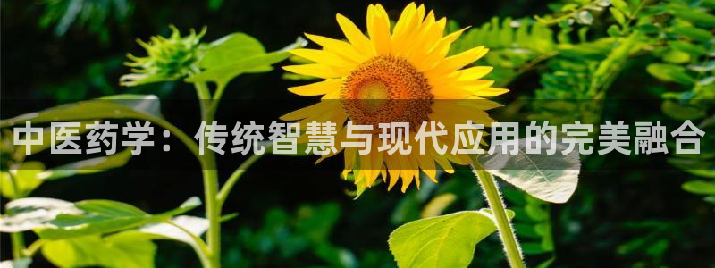 九游会是一个什么网站