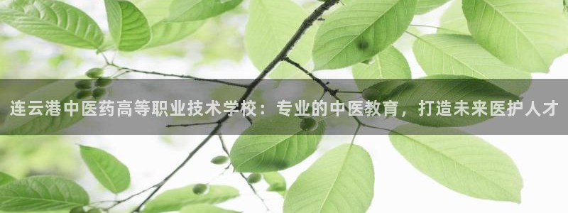j9九游会app下载