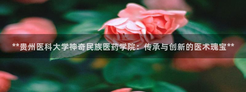 j9p下载