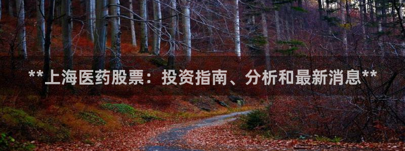 J9九游会国际站