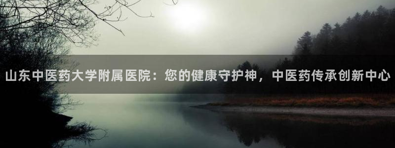 九游j9国际站