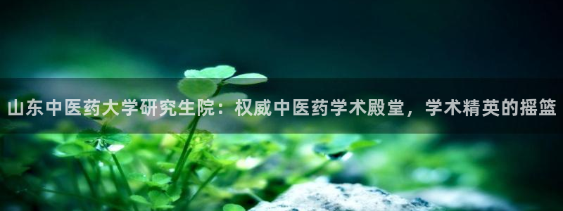 j9九游会网址是什么