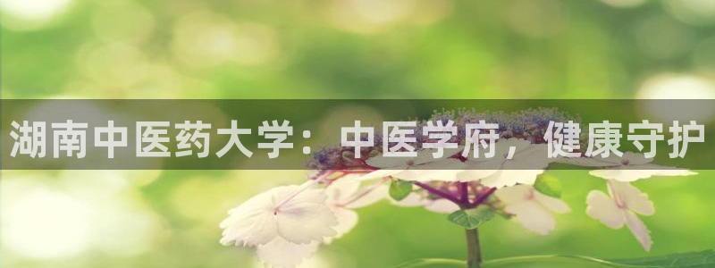 九游会官网个人中心登录