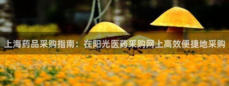九游会j9全站平台