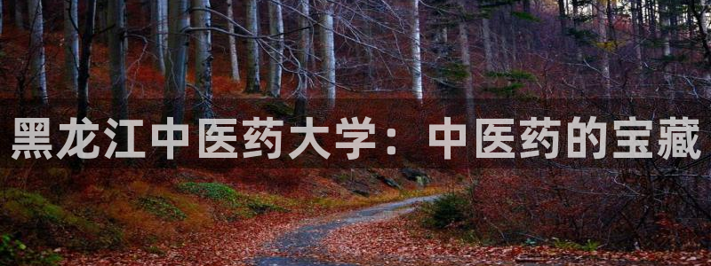 九游会跟ag是怎么一回事