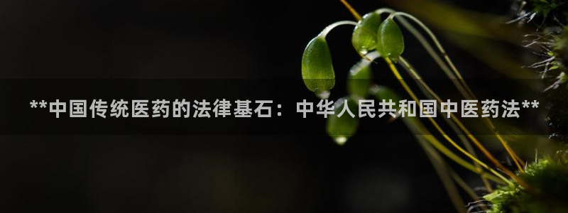 九游会手机登陆