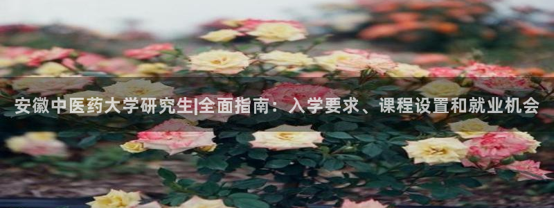 J9九游会登录入口首页旧版