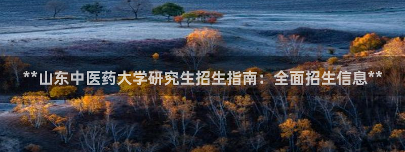 九游会官网在线