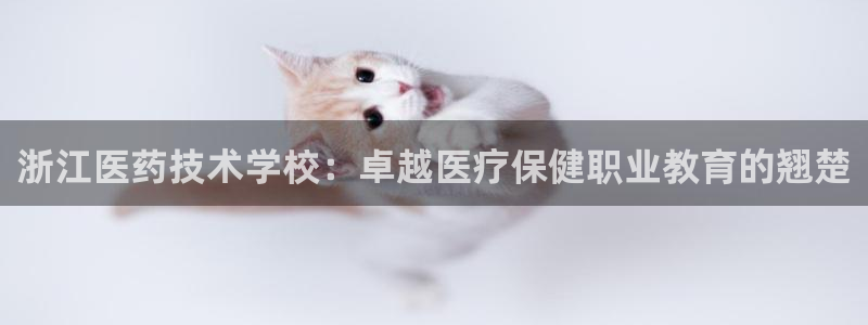ag老帅百度百科