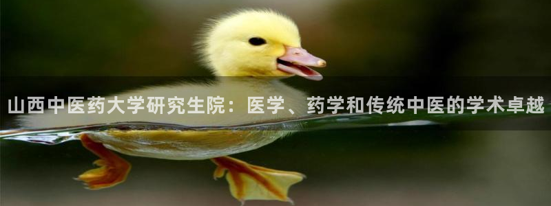 ag8亚洲九游会