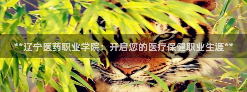 九游会官方旗舰店
