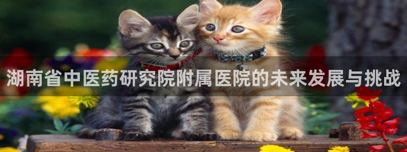 j9九游会老哥俱乐部 - 九游会