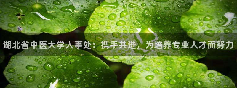 九游会黑吗