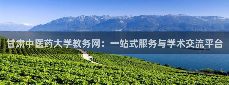 九游会中国入口：甘肃 