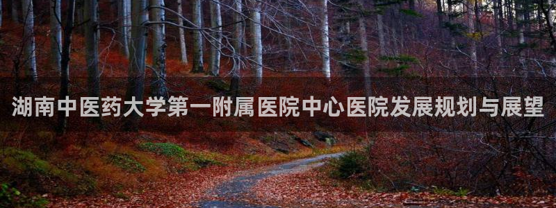 J9九游会集团：湖南 